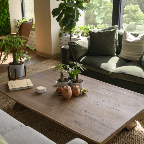 relaxing meeting room with greenery